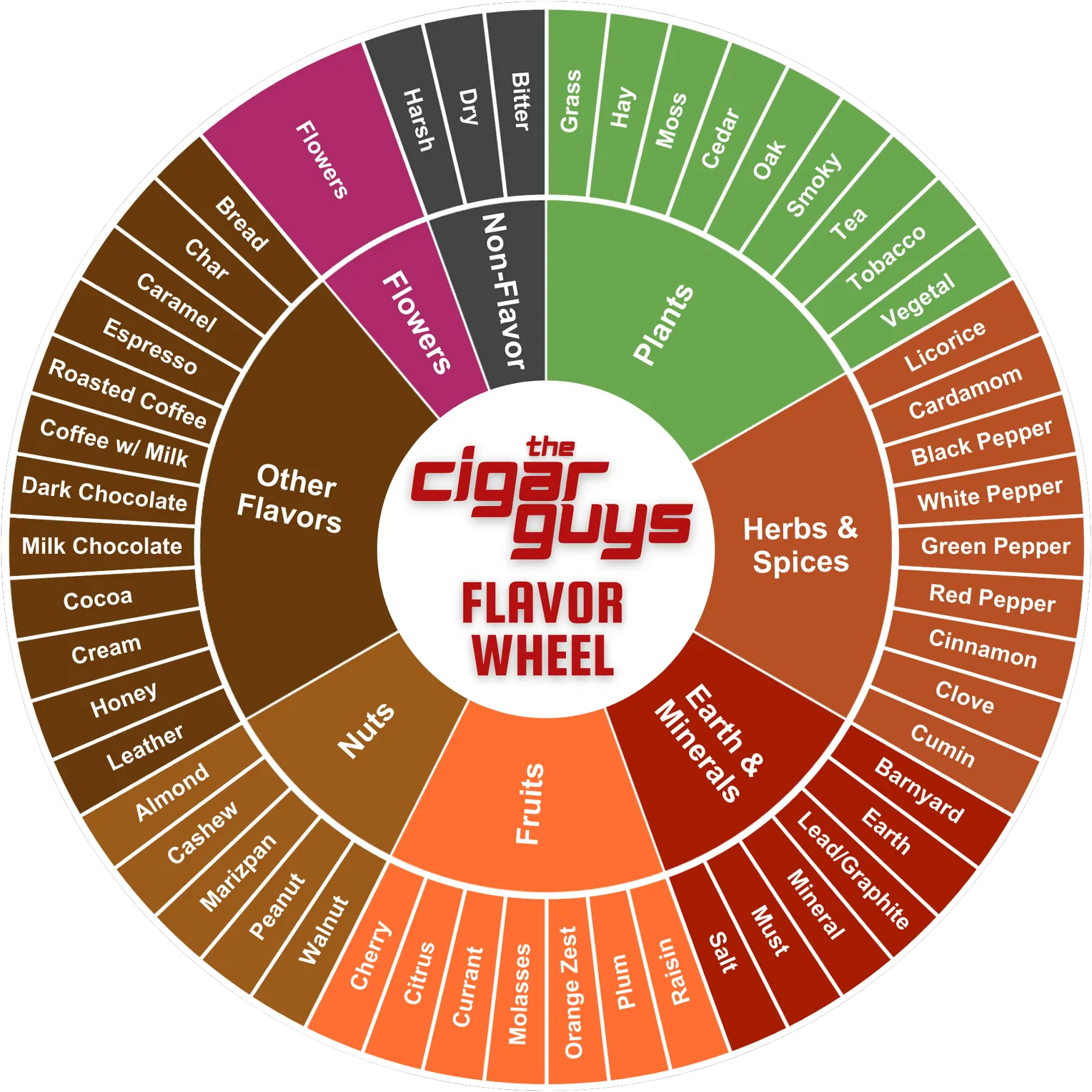 The Cigar Guys flavor wheel: eight color-coded flavor families around the logo, each fanning out into specific tasting notes