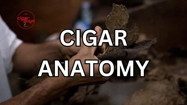 The Anatomy of a Cigar: Understanding the Components and Construction