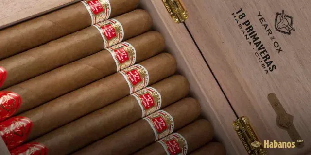 Hoyo de Monterrey Primaveras: A Cuban Tribute to the Chinese New Year