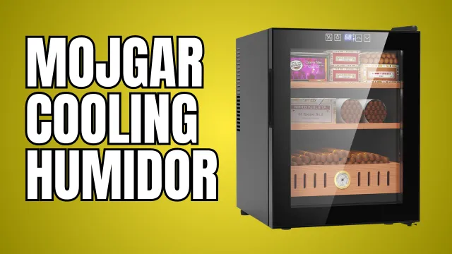 Mojgar 50L Thermostatic Electric Humidor: The Ultimate Gift for Men