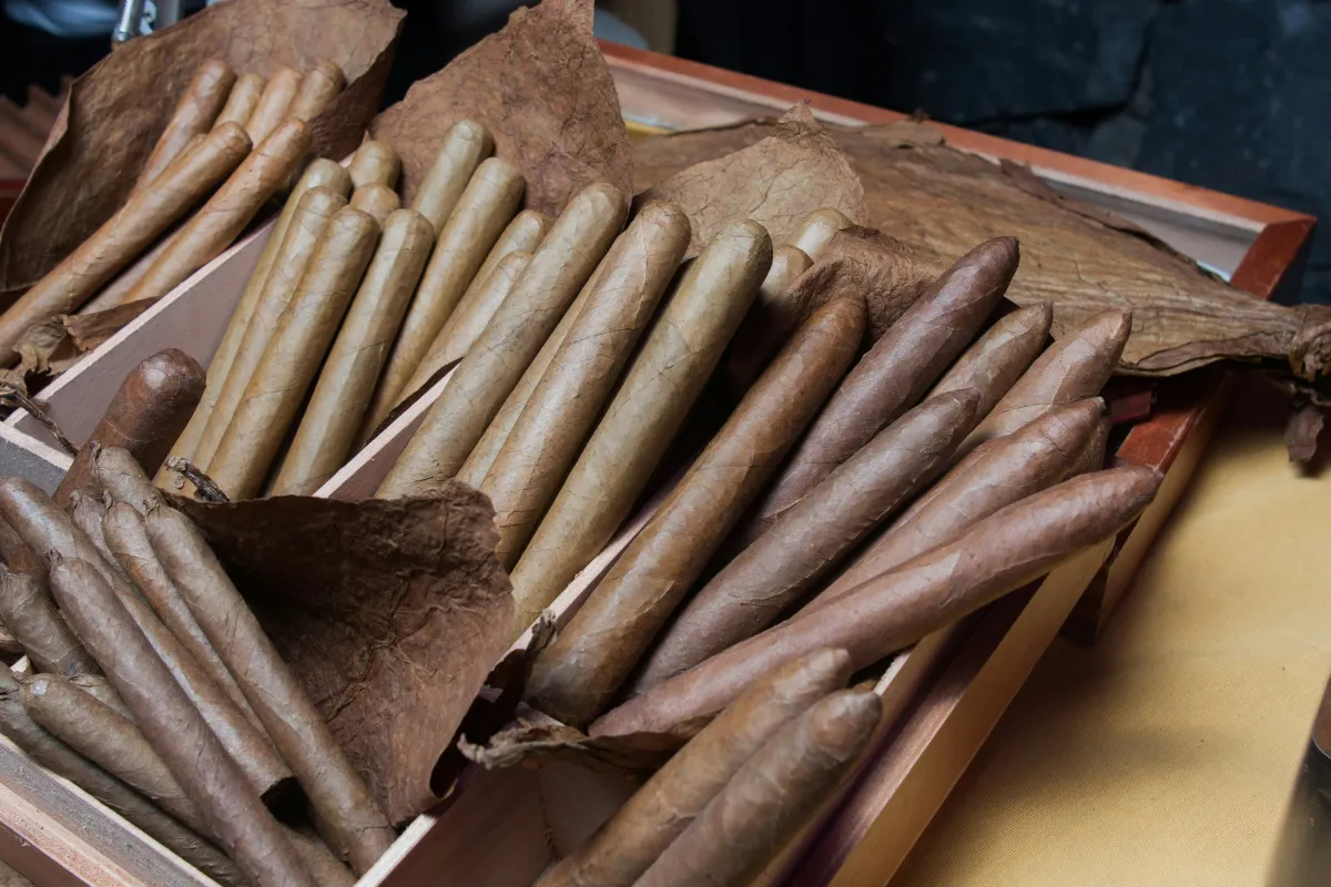 Cheap cigars vs expensive cigars: how to instantly tell the difference without seeing the price tag