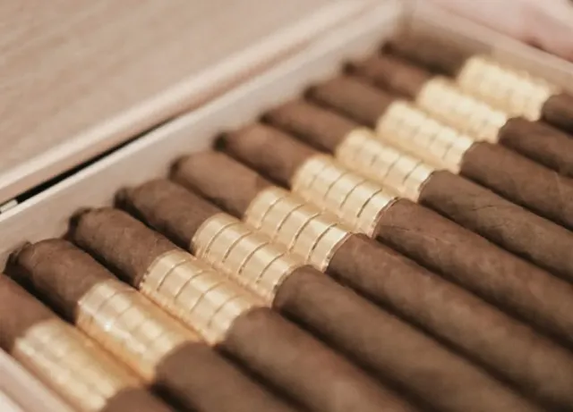 Most Aesthetic Cigars? A Visual Study of Five Brands