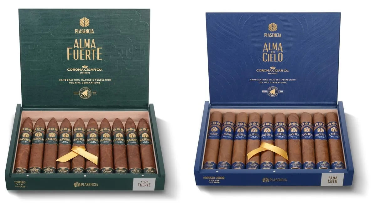 Two open Plasencia boxes side by side: a green Alma Fuerte box of ten pointed torpedo cigars and a blue Alma del Cielo box of ten straight-sided Robusto Gordo cigars, both marked Corona Cigar Co. Exclusive