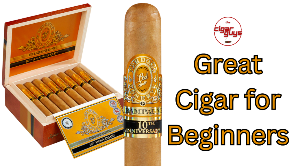 A Perfect Choice for&nbsp;Beginners