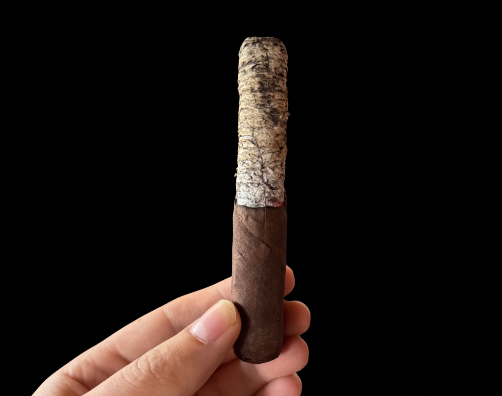 la aurora fuerte sol long ash