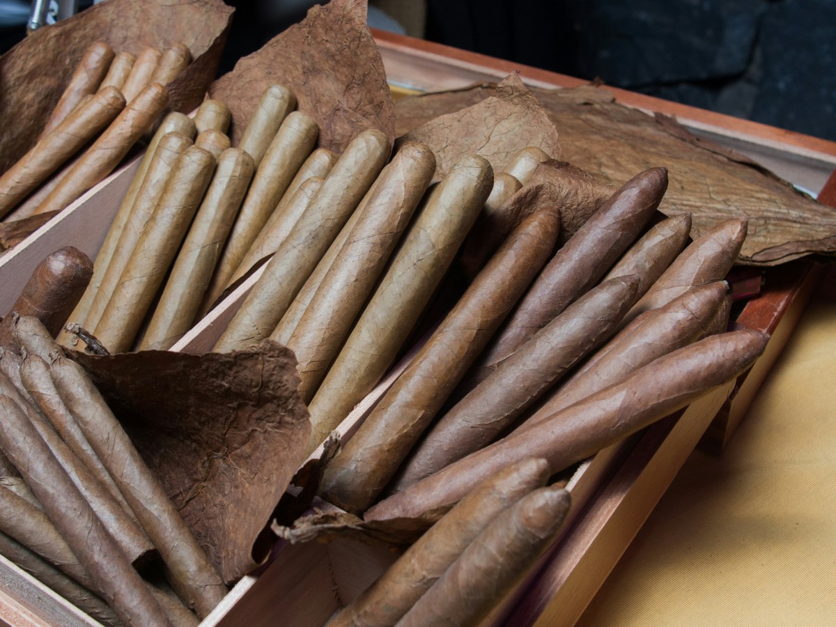 Cheap cigars vs expensive cigars: how to instantly tell the difference without seeing the price&nbsp;tag